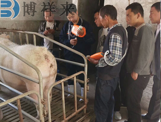 便攜式獸用B超檢測母豬培訓現場(chǎng)