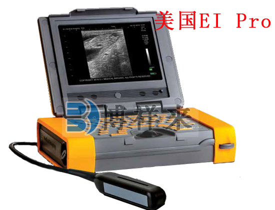 美國進(jìn)口獸用B超Ibex Pro
