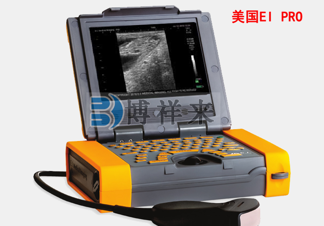 美國EI進(jìn)口小動(dòng)物B超Pro